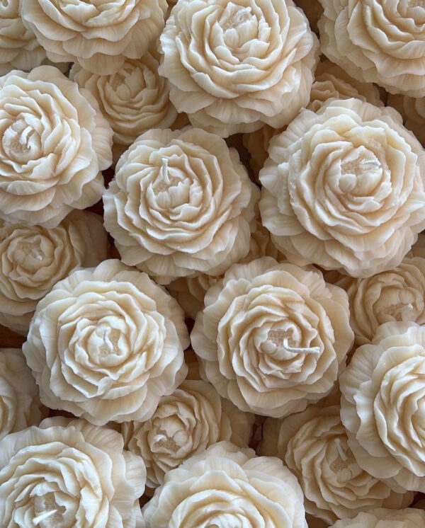 ⁦شمعه الوردة⁩ - الصورة ⁦2⁩